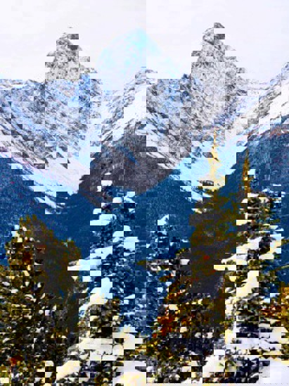 listing-details-carousel