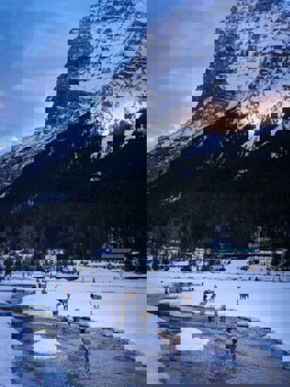 listing-details-carousel