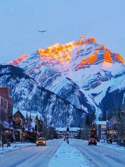 listing-details-carousel