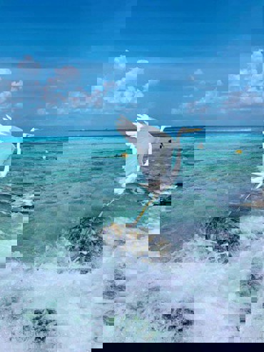 中文小团墨西哥坎昆女人岛珊瑚礁出海浮潜体验+女人岛半自由行1日游

