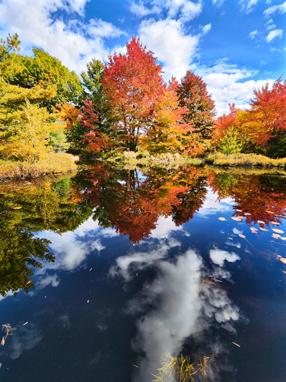 listing-details-carousel