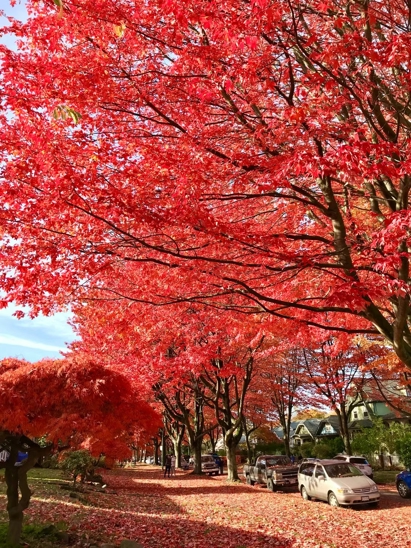 listing-details-carousel