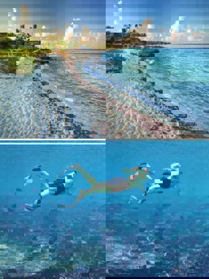 listing-details-carousel