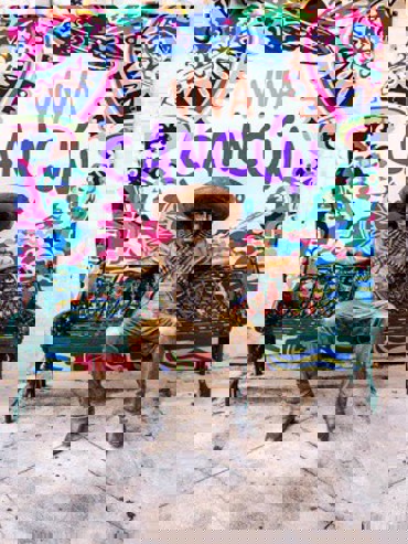 墨西哥坎昆玛雅文化深度游7天6夜

