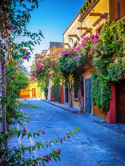 listing-details-carousel