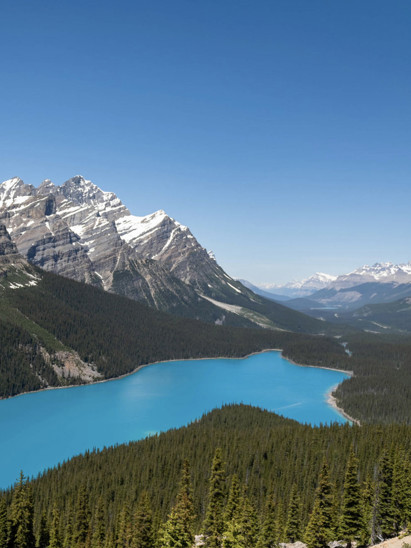 listing-details-carousel